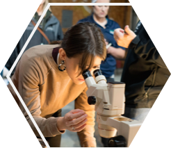 an educator looks through a microsope